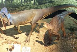 Z wizytą u dinozaurów z Gór Świętokrzyskich