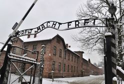 70. rocznica wyzwolenia Auschwitz. Świat wysłucha głosu ocalonych
