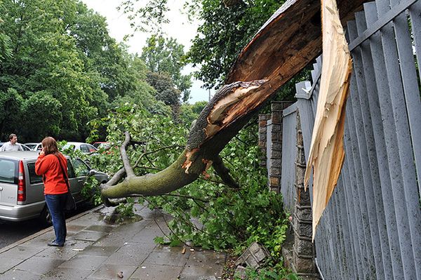 Potężna burza na Mazurach; runęło kilkadziesiąt drzew
