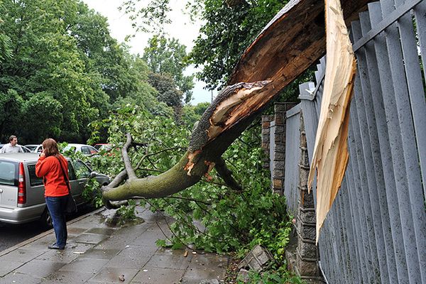 Potężna burza na Mazurach; runęło kilkadziesiąt drzew