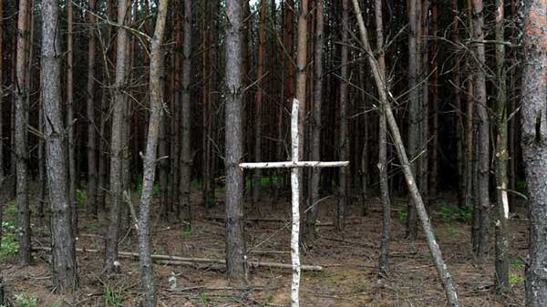 Brzozowy krzyż na skraju lasu przy tzw. trupim polu w rejonie wsi Ostrówki na Ukrainie - przeprowadzono tu ekshumację szczątków ciał Polaków