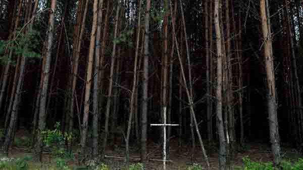 Brzozowy krzyż na skraju lasu przy tzw. trupim polu w rejonie wsi Ostrówki na Ukrainie, gdzie odkryto szczątki zamordowanych Polaków