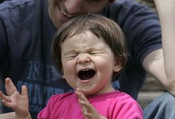 Wraca Fundusz Alimentacyjny