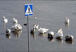 Sytuacja powodziowa w kraju