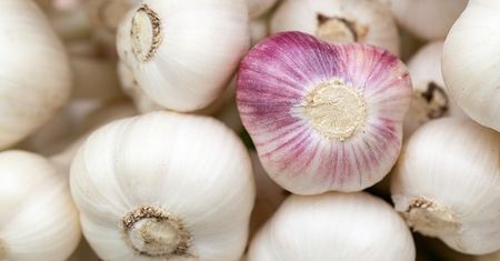 Poznaj produkty zwiększające naturalną odporność organizmu