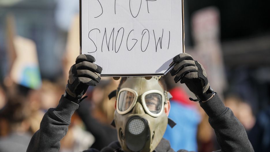 Młodzieżowy strajk klimatyczny w Lesznie