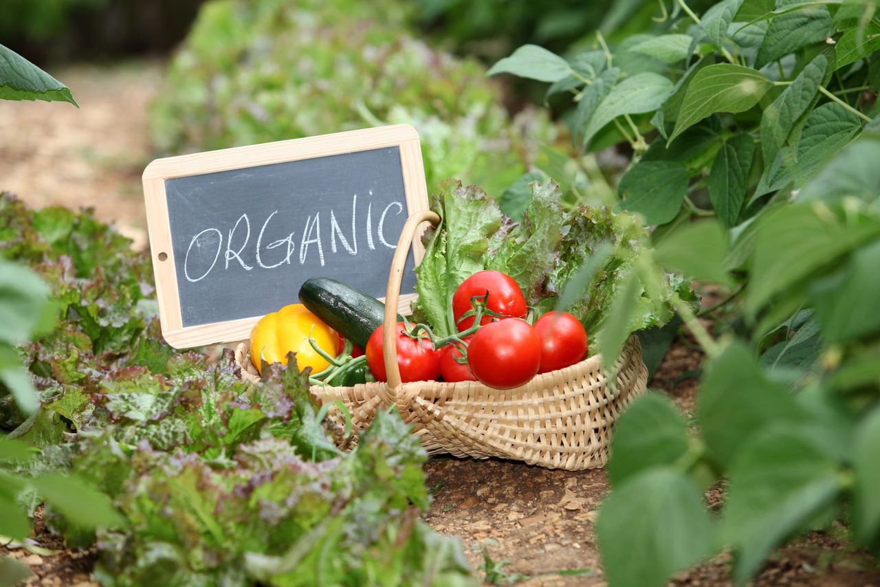 7 organicznych produktów, które warto mieć w kuchni