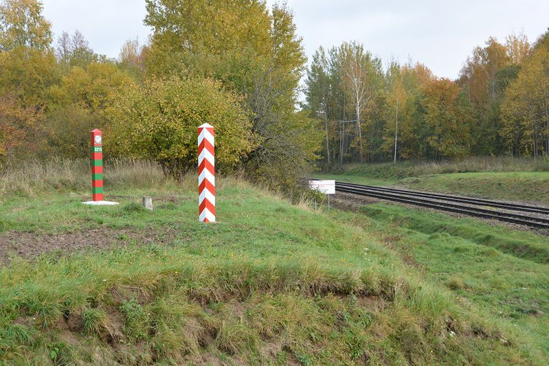 Poszedł na grzyby. Doszedł do Rosji, został zatrzymany