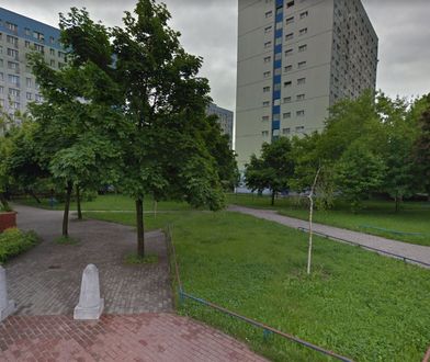 Drzewa przeszkadzały parafianom w Poznaniu. Po sprzeciwie nie zostaną wycięte