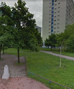 Drzewa przeszkadzały parafianom w Poznaniu. Po sprzeciwie nie zostaną wycięte