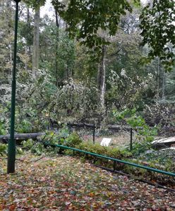 Orkan zniszczył poznańskie zoo. "Dramatyczne straty"