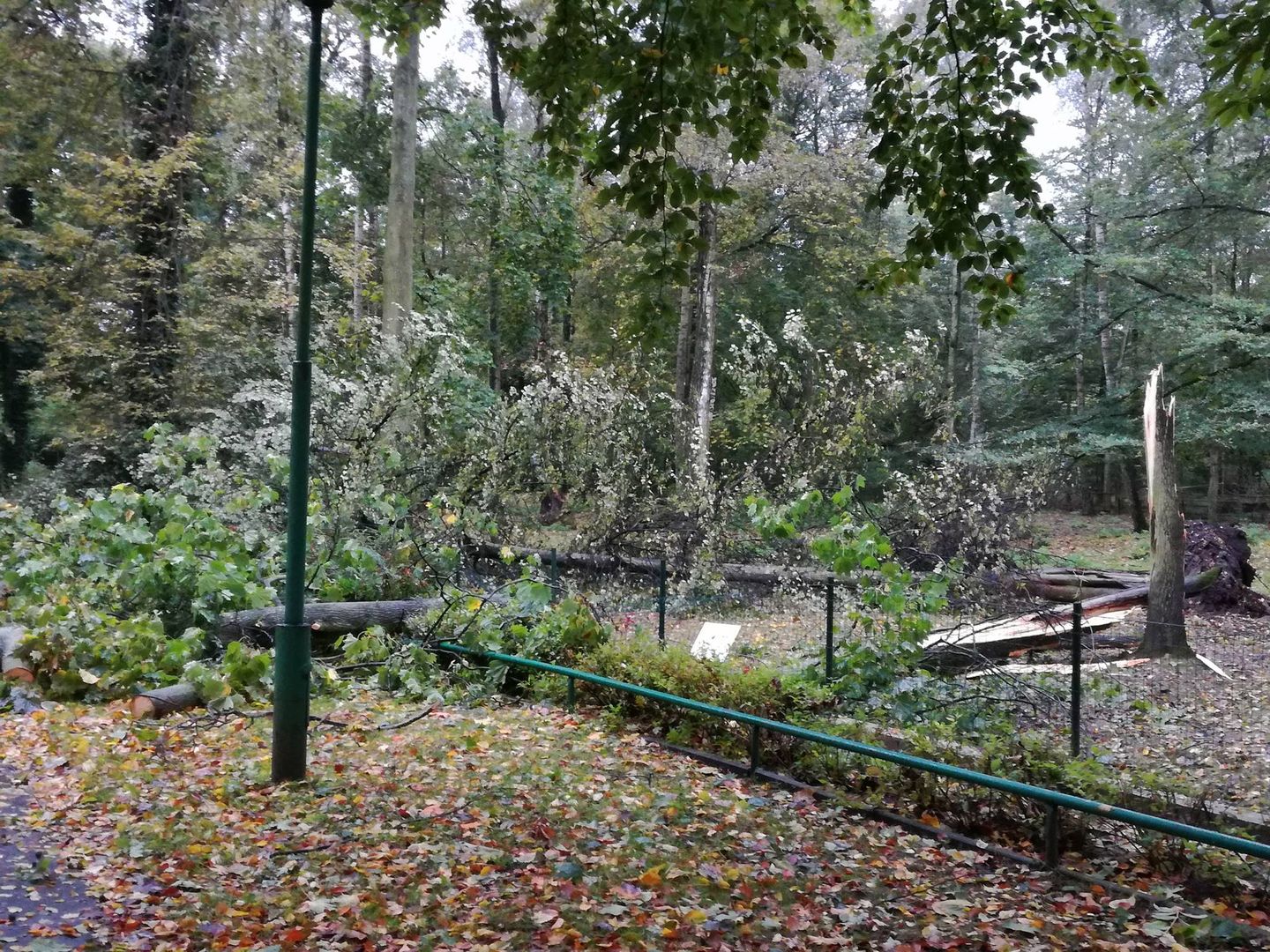 Poważne szkody w poznańskim zoo