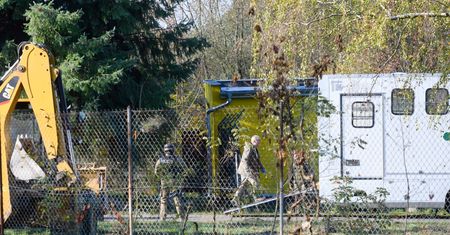 Poznań. Tygrysy miały zostać "częściami". Wstrząsające słowa dyrektor zoo