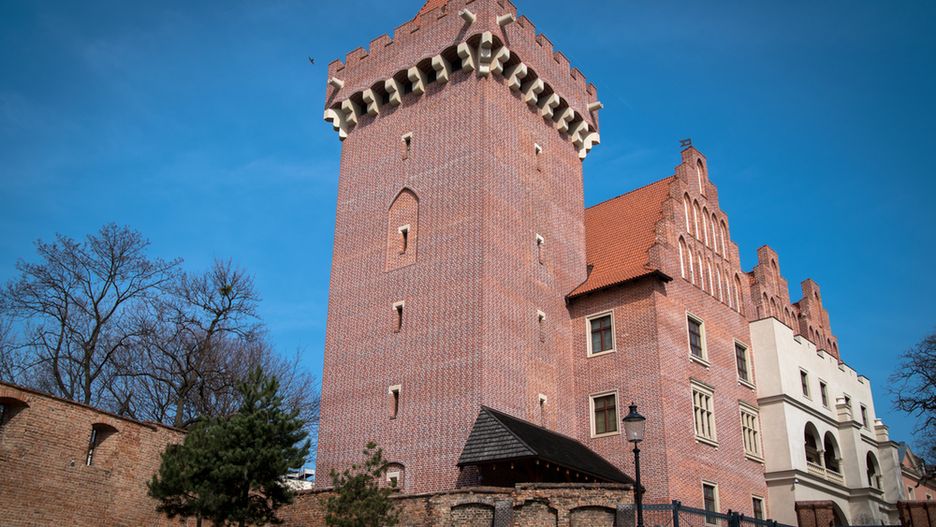 Obraz