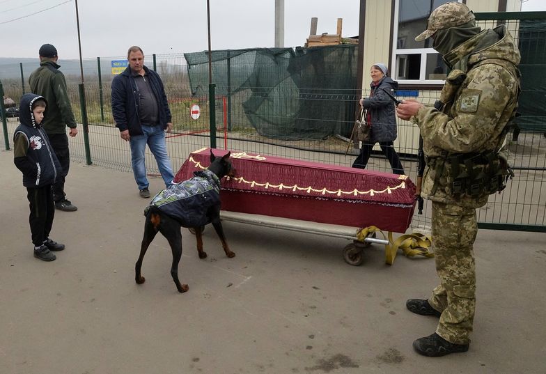 Pies tropiący kontroluje trumnę ze zmarłym na granicy Ukrainy z terenami okupowanymi przez separatystów.