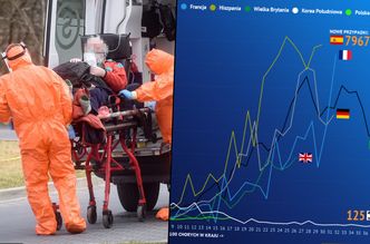 Koronawirus w Polsce i na świecie. Analizujemy najnowsze dane