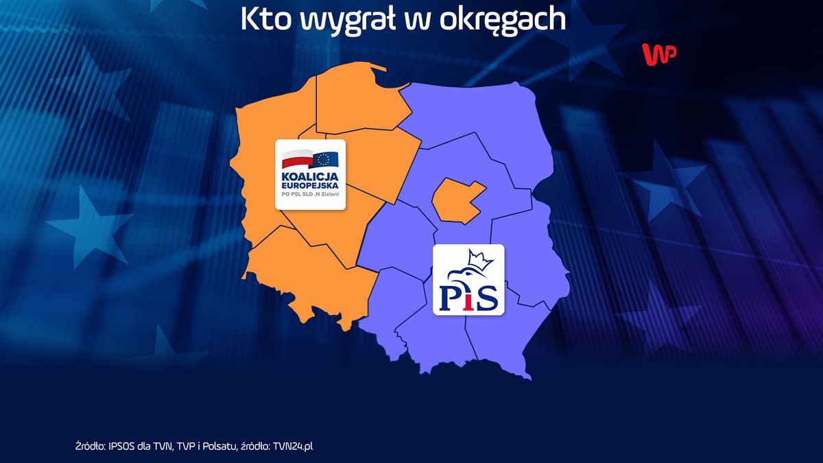 Tak głosowali Polacy.