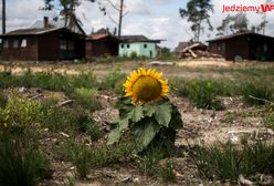 Rok po nawałnicy: pomóżmy spełnić marzenie. O Wigilii we własnym domu