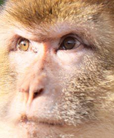 Pierwszy spacer małego magota