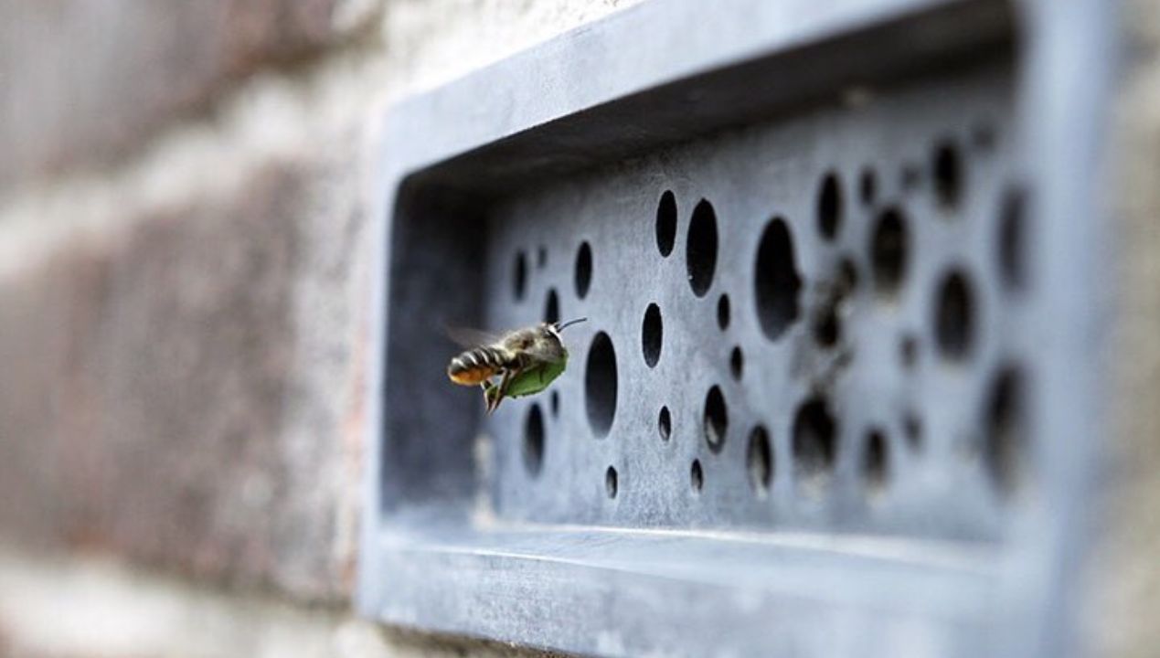 W Anglii prawie każdy dom ma hotele dla pszczół. To betonowe cegły z otworami
