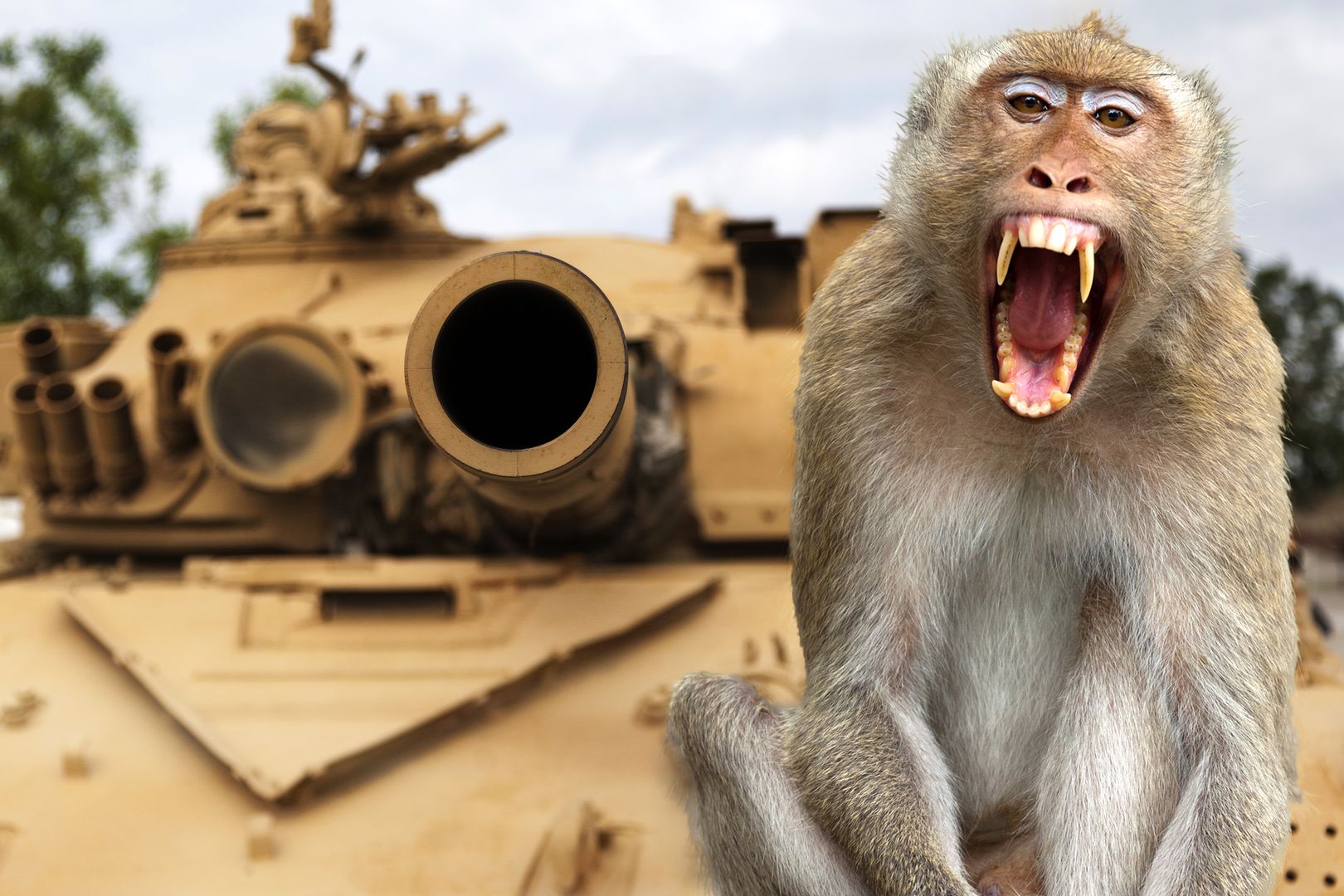 "Żart" z małpą kosztował życie 40 osób. W ruch poszły czołgi