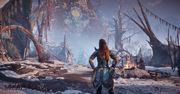 W końcu dodatek do znakomitego "Horizon Zero Dawn"