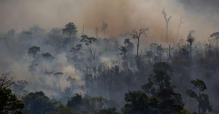 Amazonia w coraz gorszym stanie. Niepokojące dane agencji kosmicznej