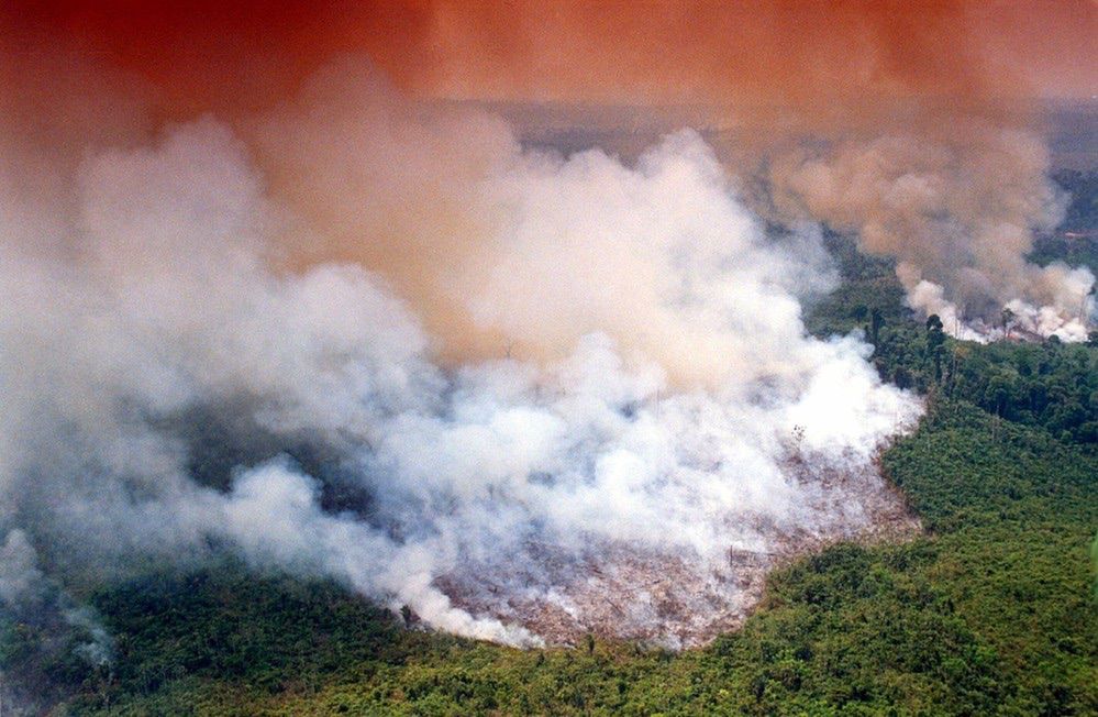 Amazonia płonie. "Biznes zwycięża. To punkt krytyczny zmian klimatycznych"