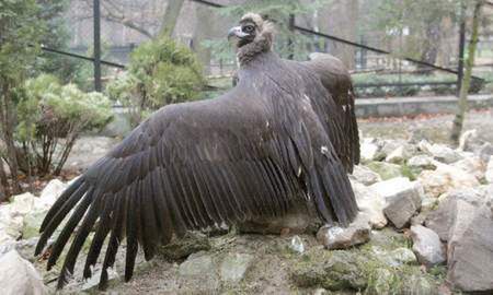 Nowi mieszkańcy krakowskiego zoo