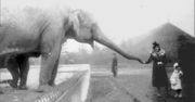 90. urodziny warszawskiego ZOO – przekaż pamiątki