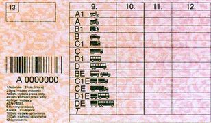 Bez szkoły nie dostaniesz prawka