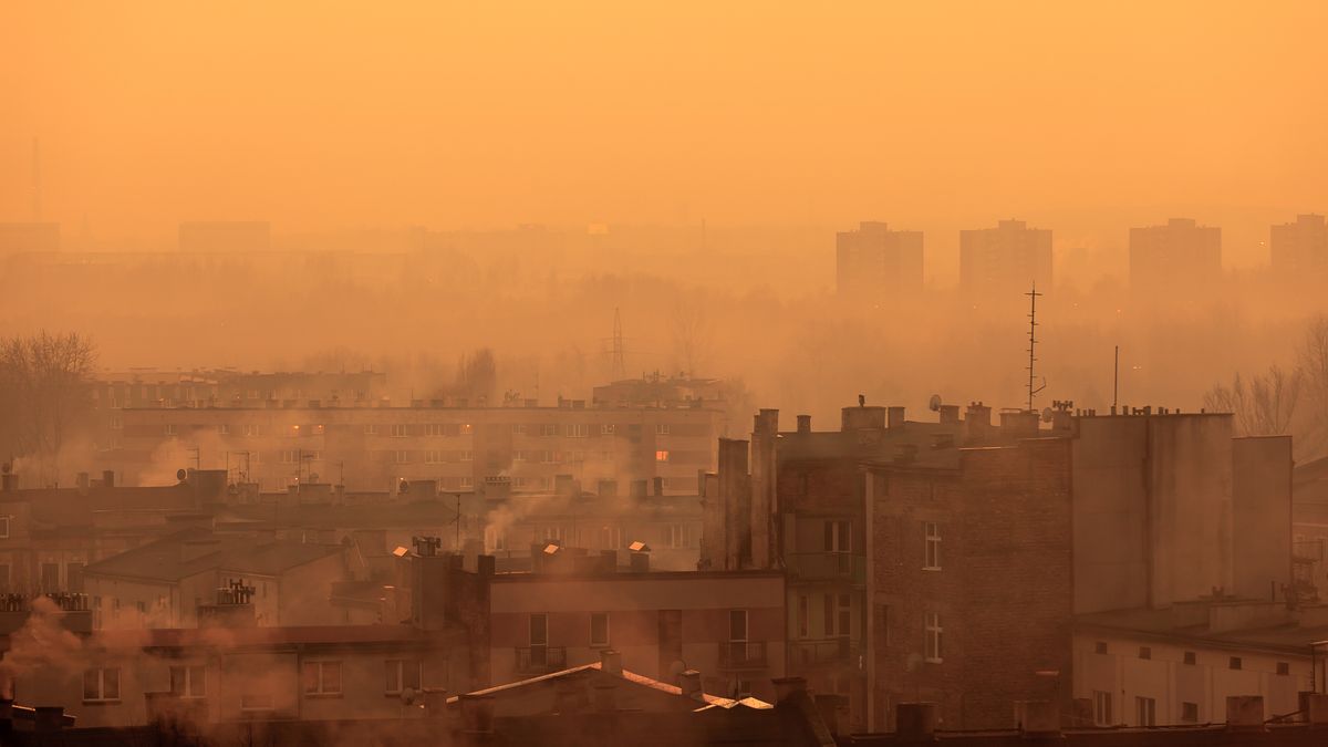 Smog nad Polską. Program walki o czyste powietrze nieskuteczny?