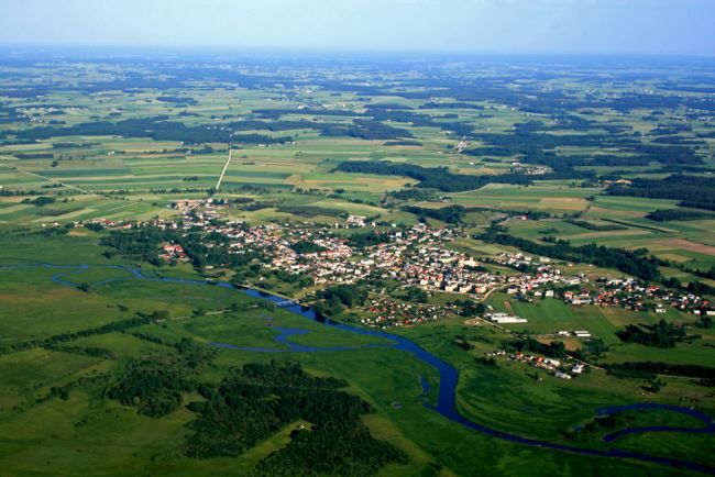 Obraz