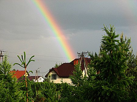 Będzie można bezkarnie zabić włamywacza?