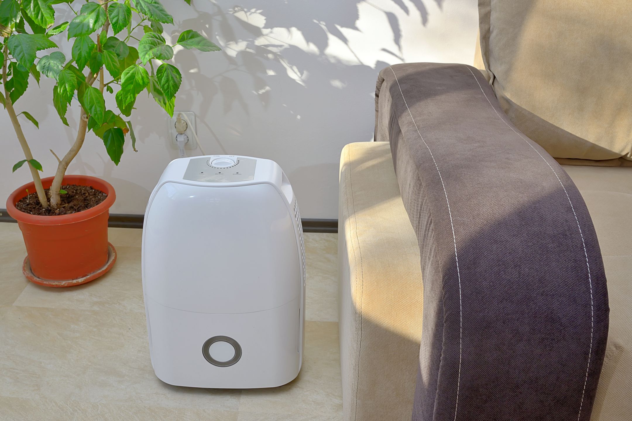 Portable dehumidifier colect water from air inside of living room 