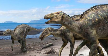 Nowy gatunek dinozaura. Japończycy odkryli szczątki