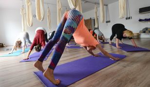 Warszawa. Karma wraca, czyli poćwiczą jogę dla bezdomnych czworonogów