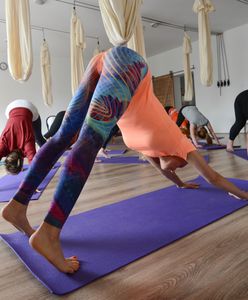 Warszawa. Karma wraca, czyli poćwiczą jogę dla bezdomnych czworonogów