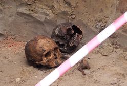 "Ze ściany wykopu wypadły czaszki". Makabryczne odkrycie w Warszawie