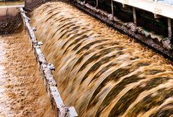 Wisła została zanieczyszczona w wyniku awarii w oczyszczalni ścieków Czajka w Warszawie. Zobacz, zdjęcia satelitarne