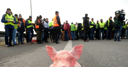 Protest rolników 2019 da się we znaki mieszkańcom Warszawy. Utrudnienia w ruchu na Krakowskim Przedmieściu