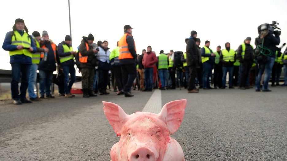 Protest rolników przejdzie ulicami stolicy w środę 6 lutego.
