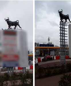 Warszawa walczy o krajobraz bez reklam. W styczniu usunięto ponad 200 banerów