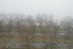 Smog w Warszawie 9 stycznia 2020. Sprawdź jakość powietrza w stolicy