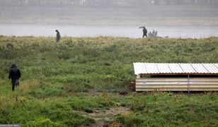 Martwe kozy w Warszawie. Służby weterynaryjne: zwierzęta, które przeżyły, są zdrowe