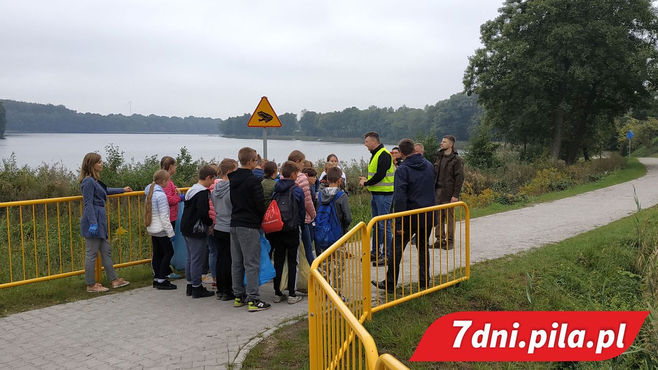 Uwaga jeże