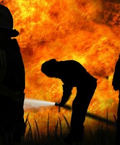 Żałoba narodowa po pożarach w Portugalii. 62 ofiary śmiertelne