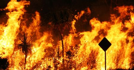 Australia w ogniu. Strażacy pokazali, jak wygląda piekło