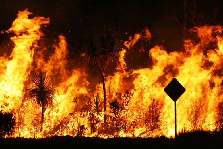Tegoroczny sezon pożarów w Australii trawi lasy wyjątkowo bezlitoścnie