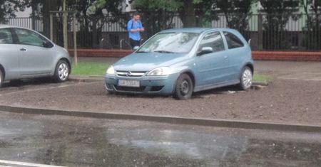 Absurdy drogowe. Posiali trawnik dookoła zaparkowanego samochodu
